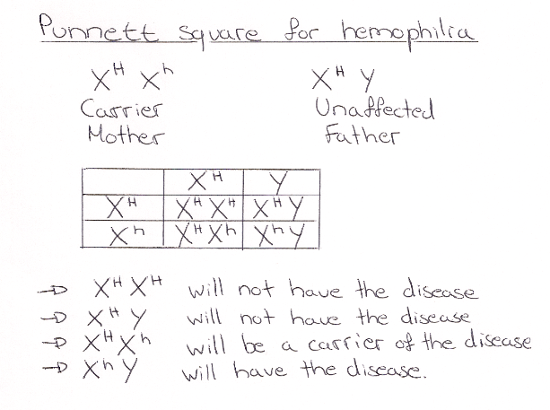 biology packet answers