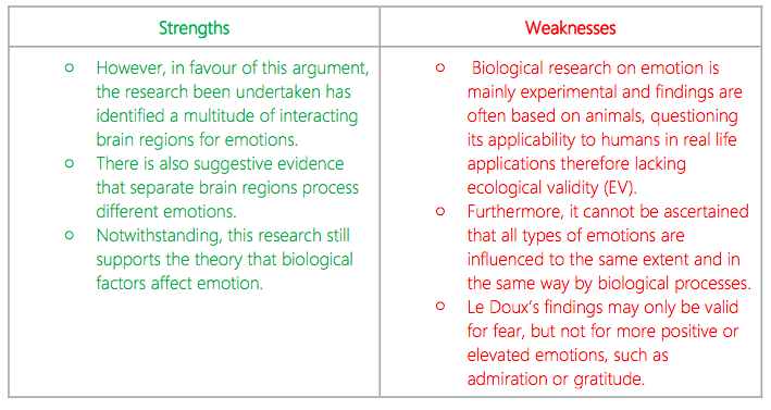 IB Psychology Notes - The cognitive level of analysis: Cognition and