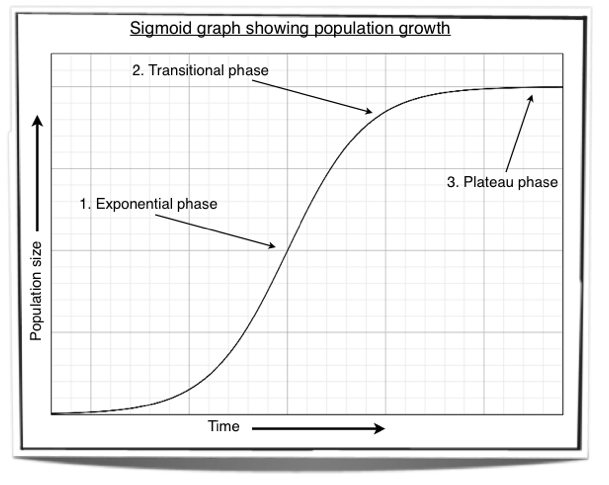 exponential growth graph biology
