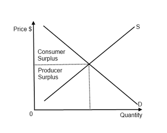 IB Economics Notes - 1.6 Market efficiency