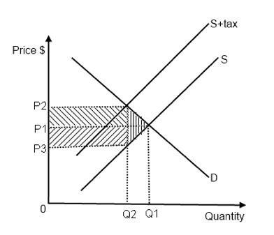 Tax Graph Economics