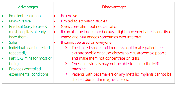 IB Psychology Notes - The cognitive level of analysis: Cognitive